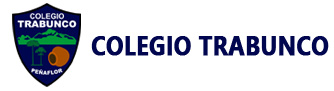 Colegiotrabunco.cl Logo